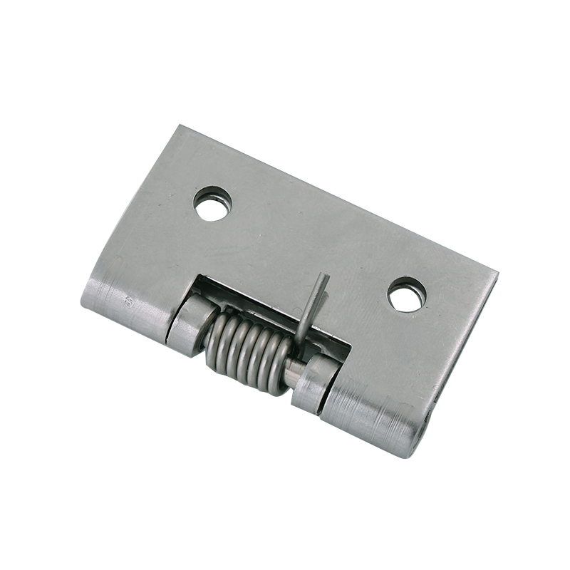 Spring hinge, stainless steel, closed, not adjustable, L=50, B=50, H=8