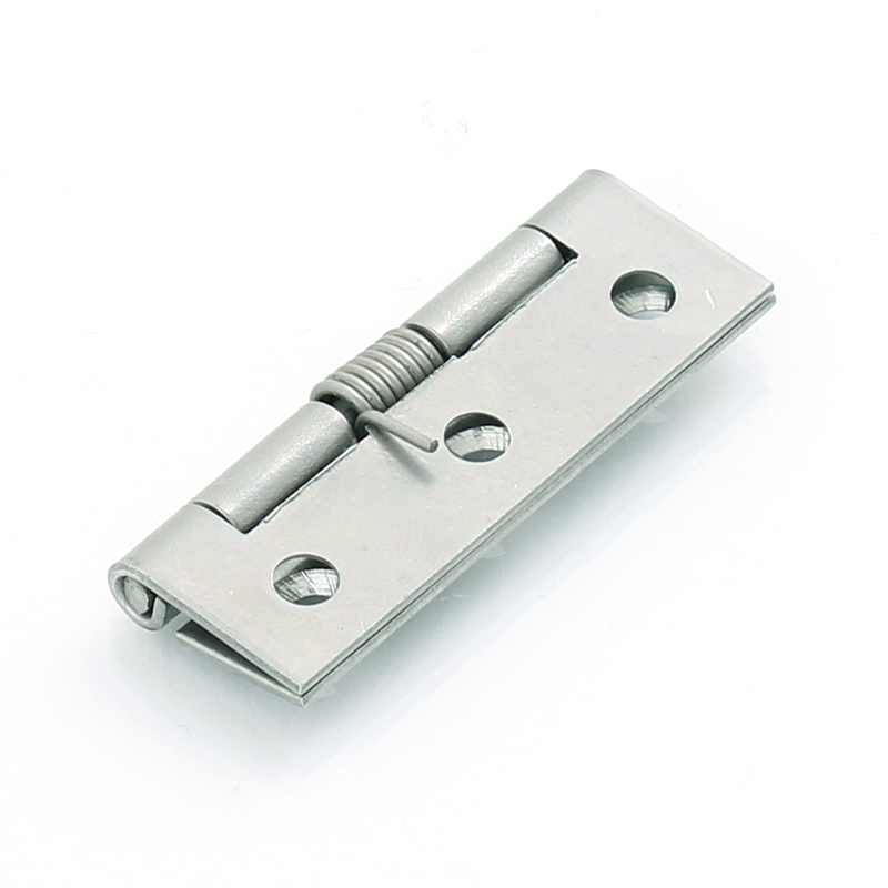 Spring hinge, stainless steel, closed, not adjustable, L=50, B=30, H=5