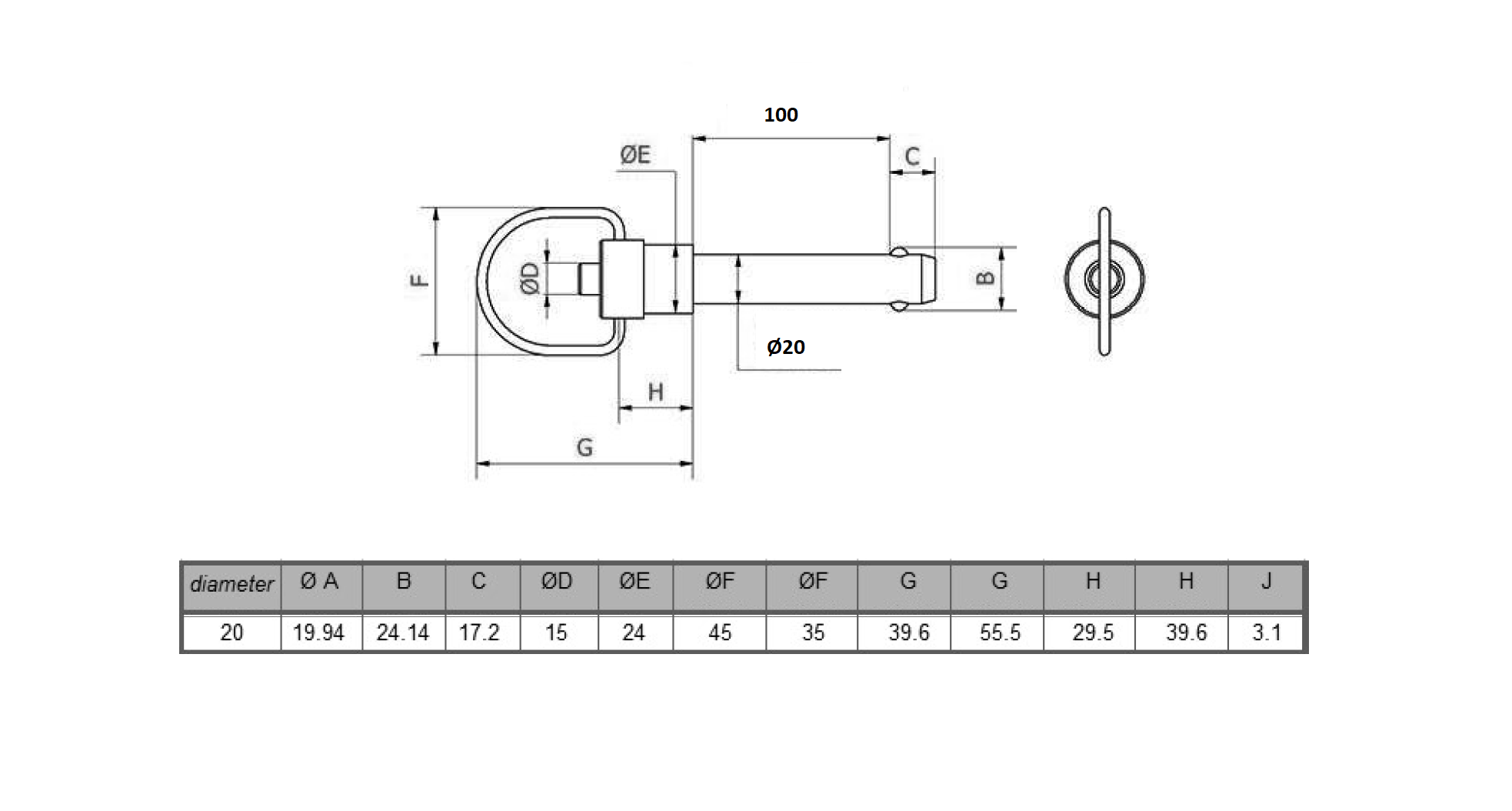 Ball lock pin with lift ring, stainless steel, pin diameter = 20mm, height = 100mm
